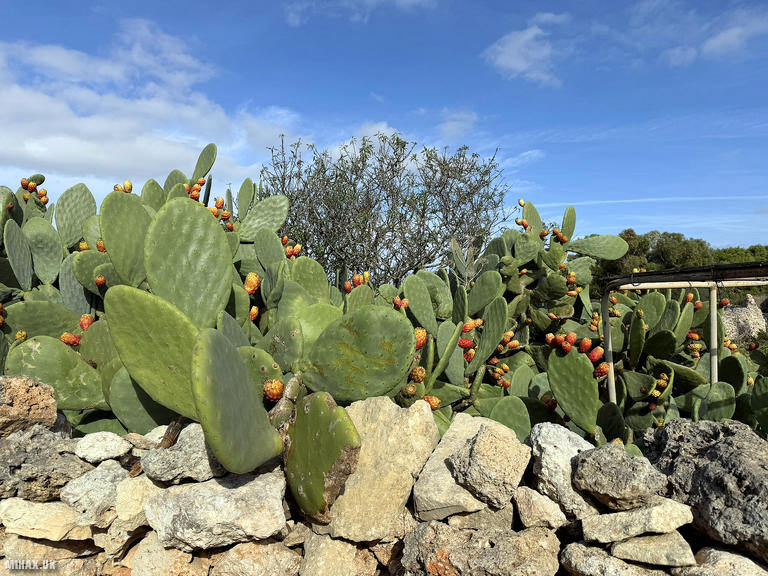 Ta' Dmejrek - 9H/MA-001 SOTA (2025)