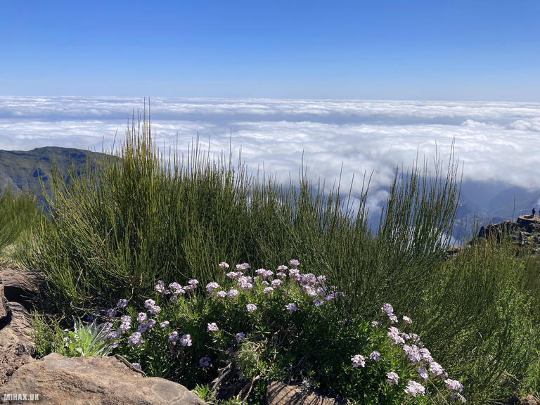 CT3/MI-004 SOTA Activation, 27/04/2025 (Photo no. 8).