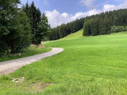 Burgkranzegger Horn - DL/AL-181 SOTA (2024)