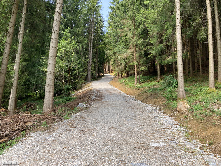 DL/AL-181 SOTA Activation, 24/07/2024 (Photo no. 2).