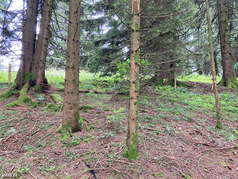 DL/AL-181 SOTA Activation, 24/07/2024 (Photo no. 4).