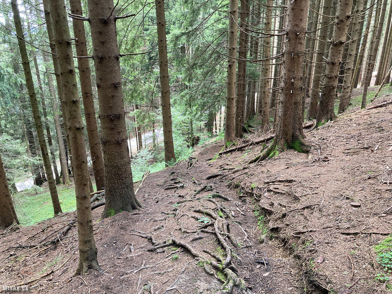 DL/AL-181 SOTA Activation, 24/07/2024 (Photo no. 7).