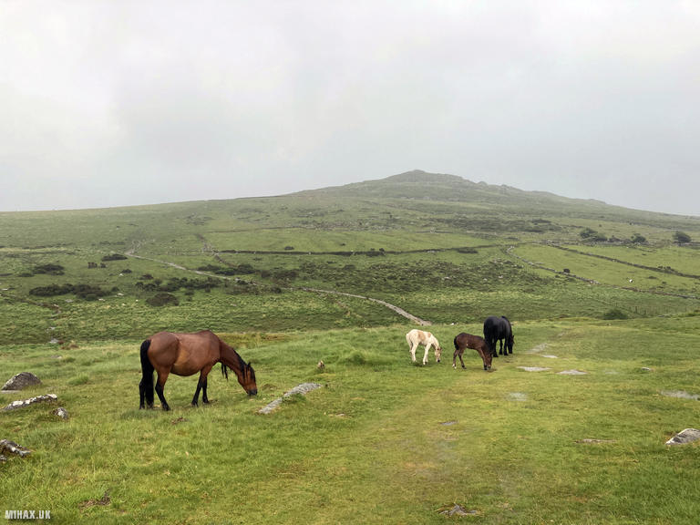G/DC-002 SOTA Activation, 07/06/2025 (Photo no. 5).