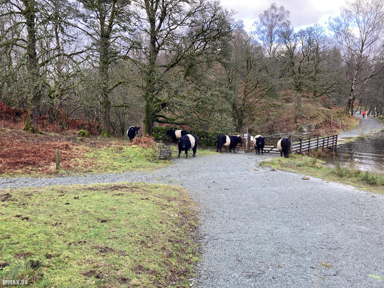 G/LD-051 SOTA Activation, 12/01/2023 (Photo no. 2).