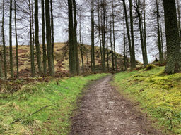 Moncreiffe Hill - GM/SS-276 SOTA (2024)