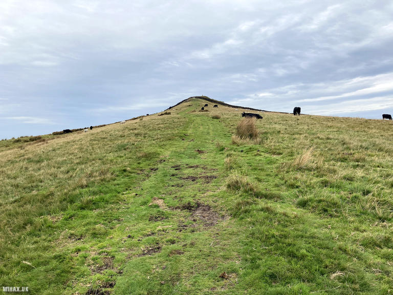 Sharp Haw - G/NP-029 SOTA (2023)