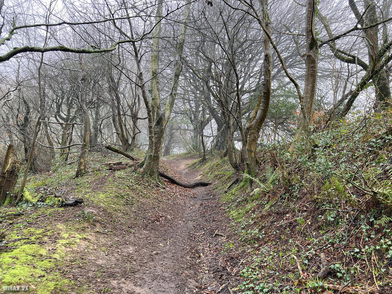 G/SC-009 SOTA Activation, 07/02/2024 (Photo no. 3).