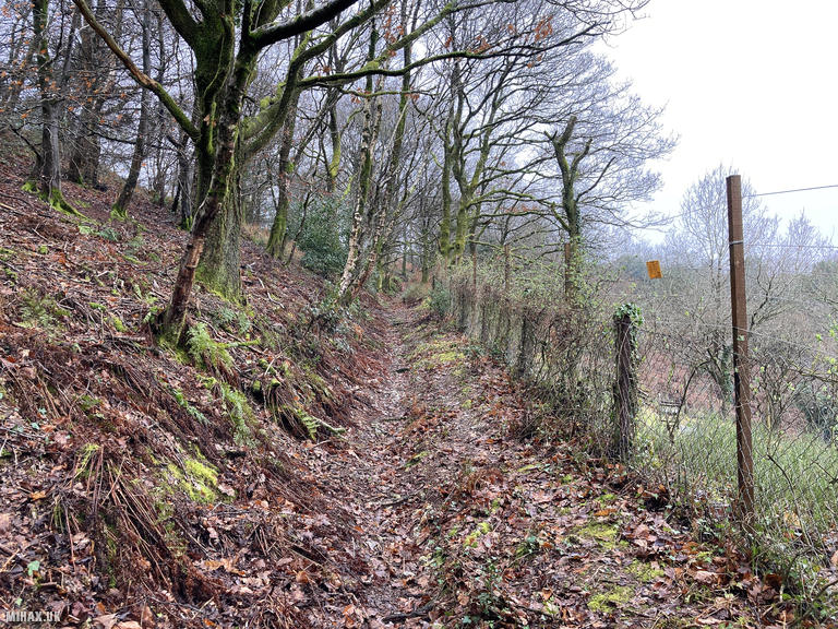 G/SC-011 SOTA Activation, 07/02/2024 (Photo no. 2).