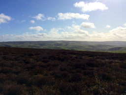 Long Mynd Hike - G/WB-005 SOTA (2020)