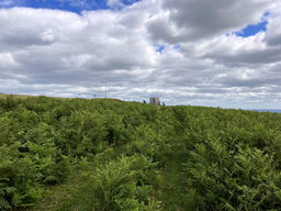 Bradnor Hill Hike - G/WB-011 SOTA (2020)