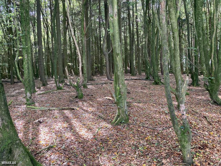 GW/MW-026 SOTA Activation, 16/09/2025 (Photo no. 5).