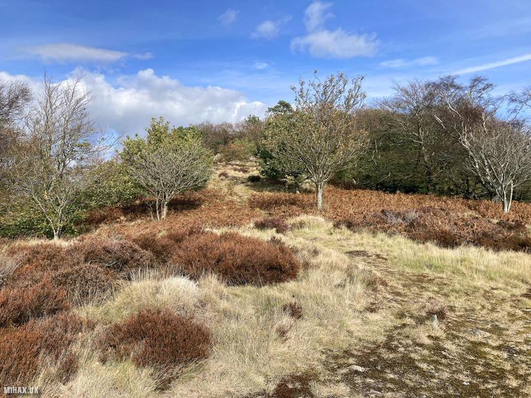 GW/MW-027 SOTA Activation, 16/09/2025 (Photo no. 7).