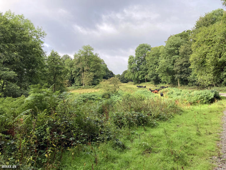 GW/MW-032 SOTA Activation, 06/08/2023 (Photo no. 6).