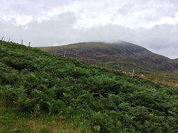 Moel Hebog Hike - GW/NW-014 SOTA (2019)