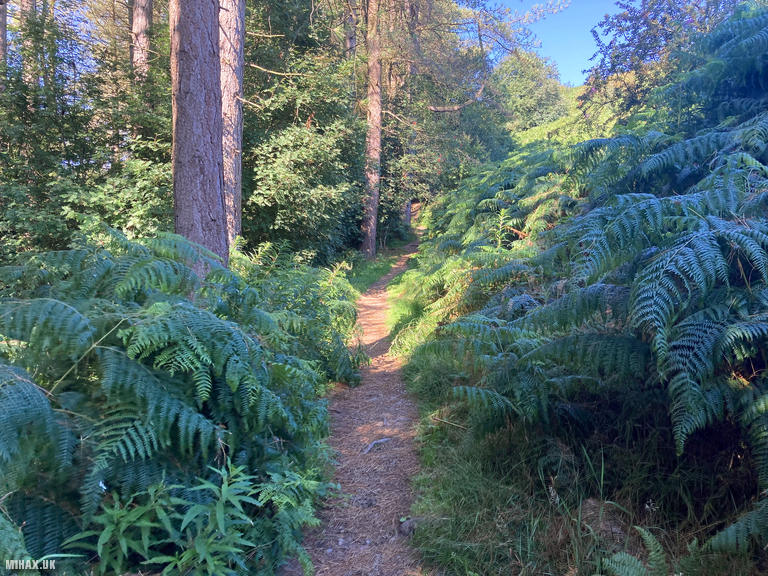 GW/NW-054 SOTA Activation, 17/08/2025 (Photo no. 2).