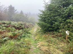 Garn Boduan - GW/NW-066 SOTA (2025)