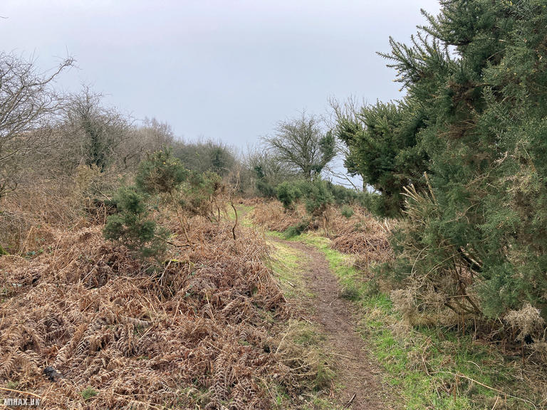 GW/SW-023 SOTA Activation, 16/02/2025 (Photo no. 5).