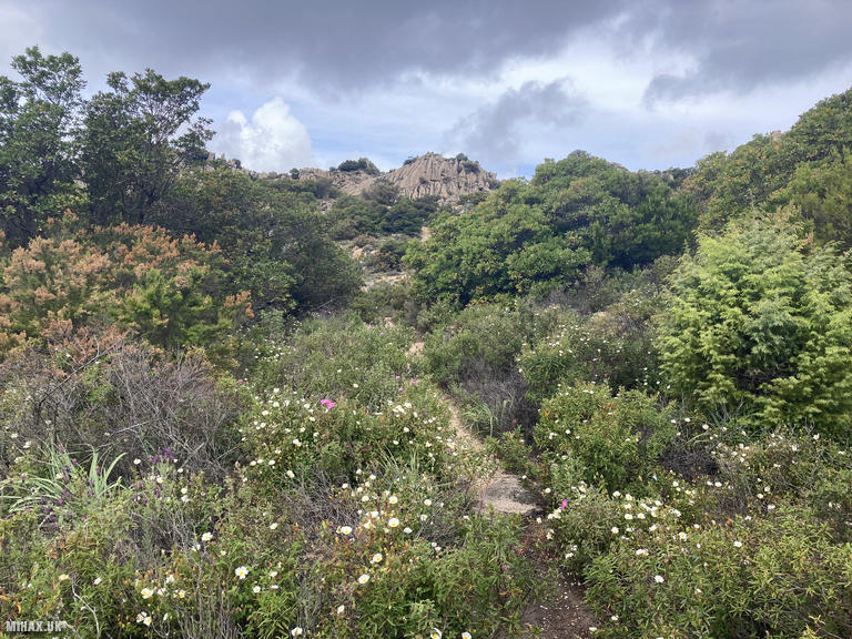 IS0/IS-064 SOTA Activation, 08/05/2024 (Photo no. 11).